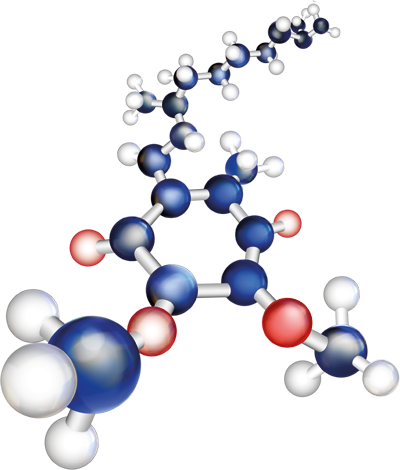 Размер одной молекулы Q10 (длиной около 5,5 нм и весом 864 атомов водорода) означает, что вещество не является легко усваиваемым веществом